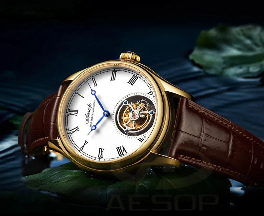 Aesop Real Flying Tourbillon Movement Mechanical Watches Luxury.