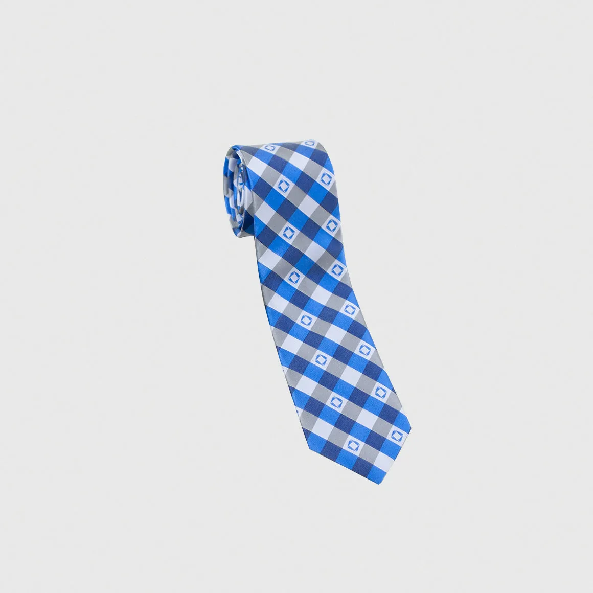 Professional Neck Tie